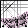 Pixelated moth with pink and gray wings on a grid background, featuring two black star shapes at bottom corners.