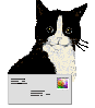 Black-and-white cat avatar with white chest and face markings holds a white envelope with a colorful square icon, set against a light gray background.