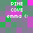 Pixelated of green, purple, and pink squares with repeated text "PINE COVE emma (:" in white block letters