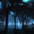 Dark forest scene with blue-tinted trees and a glowing cyan light source, transitioning from dense foliage to open space.