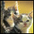 Doll Buddie Icons
