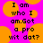 Pixelated text on a bright pink background with orange circular shapes, displaying 'I am who I am. Got a pro wit dot?' in black block letters.