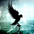 Silhouette of a bird in flight over water with dynamic wing position changes across frames.