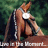 A pixelated image of a horse with brown and white coloring, standing against a green background with partial text at the bottom.