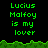 Green pixelated text on black background reads "Lucius Malfoy is my lover" with green grass-like border, repeated across multiple