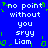 Blue background with white pixelated text reading 'no point without you sryy Liam' repeated in two , green pixelated accents scattered around
