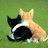 Two dogs sit on green grass; a black and white dog faces left while a tan dog sits behind it, both facing away from the viewer.