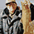 Animated image of a person holding a fish, with text changing from 'Fishing is for' to 'DIPSHIDIPSHITS!' and 'Fishing Hurts .com' at bottom.