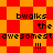 Pixelated text reads "bwaks the awesomest !!!" over red and orange checkered backgrounds with diamond patterns.