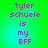 Green background with pink pixelated text reading 'tyler schuele is my BFF' in four identical arranged in a