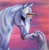 Fantasy icons for AIM, MSN, MySpace and Yahoo