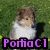 Four distinct dog images arranged in a with purple text overlays on each section