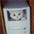 A pixelated image of a cat's face inside a light gray rectangular frame with rounded corners, set against a brown and dark gray background.