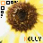 iconhell_kellysunfl0wer48x48