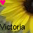 Pixelated yellow flower with dark center, pink and green heart icons above text 'Victoria' in black pixel font.