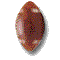 sports-themed icons featuring a brown football, red helmet, white golf ball, black-and-white soccer ball, baseball, hockey mask, basketball, tennis ball, catcher's gear, and another football