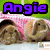 Animated sequence showing a dog named Angie in three distinct poses with purple text overlay.