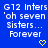 Blue background with white text reading 'G12 Inters 'oh seven Sisters... Forever' and yellow pixelated hearts below each text block.
