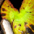 Pixelated yellow-green figure with brown accents and white lower section against dark background.