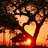 Animated scene of a tree with heart-shaped leaves against a sunset sky, featuring a bright light source at the base of the tree.