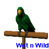 Green parrot with yellow beak perched on brown wooden post, blue text "Wet n Wild" below, multiple poses showing wing and head movements.