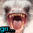 A polar bear's face with an open mouth showing teeth and tongue, displayed in a with four featuring different text colors