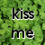 Green pixelated background with black and white text 'kiss me' on left, green text 'I'M IRISH' on right.