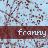 A static image of a repeating pattern with the word 'franny' in white text on brown bars over a light blue background with red branching lines.