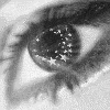 A black-and-white animated eye with star patterns in the iris, showing sequential changes in pupil shape and star arrangement