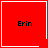 Four red square with white borders display the name 'Erin' in black text, each containing a distinct small white symbol in the bottom-right corner