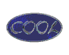 A sequence of oval-shaped icons with 'COOL' text in silver, varying between blue and dark blue backgrounds with metallic or textured effects.