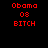 Red pixelated text 'Obama 08 BITCH' appears on black background with white rectangular overlays shifting between top and bottom positions.
