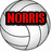 Four volleyball-themed icons arranged in a , each with distinct text overlays on the ball