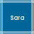 Blue background with white lines and pixelated text reading 'Sara' in the center of each