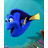 Blue fish with yellow fin and black stripe on head, smiling face against turquoise background with coral.