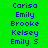 names displayed in blue pixelated text on green and cyan backgrounds with some highlighted