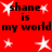 Red background with repeated black text 'shane is my world' and white star shapes in various sizes.
