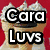 Two side-by-side pixelated images with bold text: 'Cara Luvs' on red background with white and brown elements, 'To Shop' on rainbow gradient background with white and black elements.
