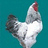 Pixelated chicken with white and gray feathers, red comb, and blue background next to green with text