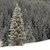 A pixelated grayscale image shows a tall, narrow, abstract shape resembling a stylized tree or tower against a dark, textured background with a white horizontal base.
