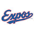 Blue cursive 'Expos' text on white background, green pixelated 'Original Icons .com' text on dark green background.
