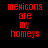 Red pixelated text on black background reads "memicons are my homeys" in two identical vertical