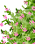 A 4-frame animated contact sheet showing a gray rabbit peeking through green foliage with pink flowers, displaying different eye expressions across frames.
