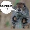 A pixelated squirrel with gray-brown fur and dark eyes appears in a static image, accompanied by a white speech bubble containing the text 'GOPHER IT!' in black capital letters.