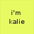 Yellow background with black text reading 'i'm kali', 'till the cubs win the world series' and a blue-red circular logo crossed by two black X's.