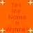 Orange background with white starbursts and red text repeating 'Yes, My Name Is Wynne!' in a pattern