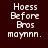 Pixelated text 'Hoess Before Bros maynnn.' displayed in four quadrants with varying background colors and slight text distortion.