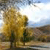 Pixelated landscape with golden-yellow trees, dark green foliage, and a light blue sky with white clouds, rendered in low-resolution blocky style.