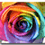 A four- of rainbow spiral backgrounds with text overlays: Live!, Love!, and Laugh:] in the top-right, bottom-left, and bottom-right respectively