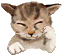 Animated contact sheet of a tabby kitten with closed eyes in five sequential frames showing paw movements and mouth opening.